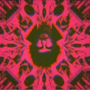 Meet your Posher, Martin